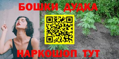 Альфа ПВП Моздок