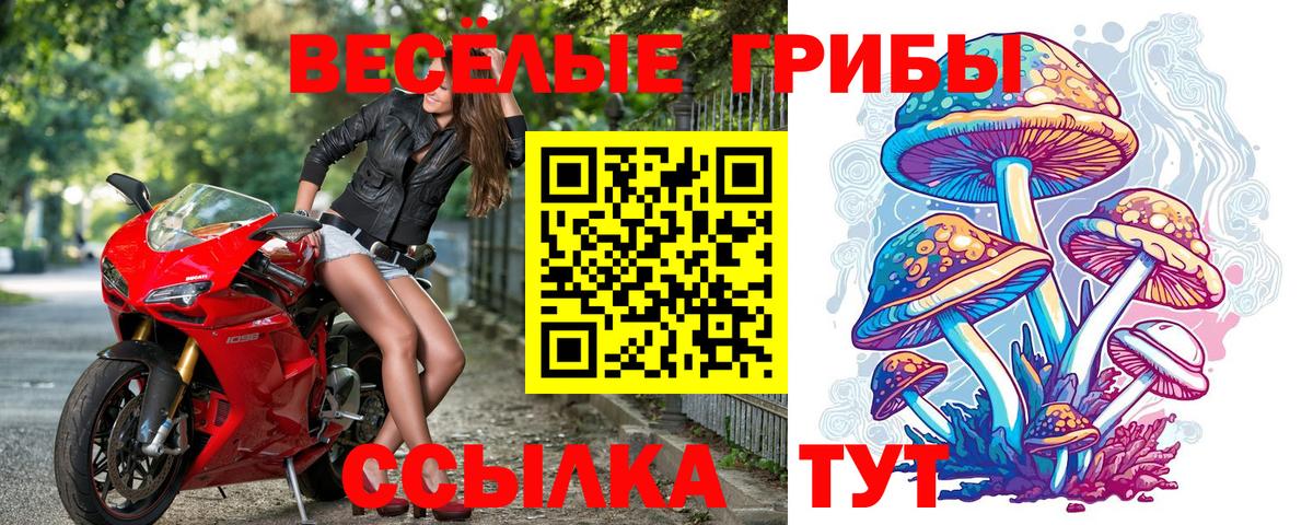 Псилоцибиновые грибы ЛСД Стрежевой